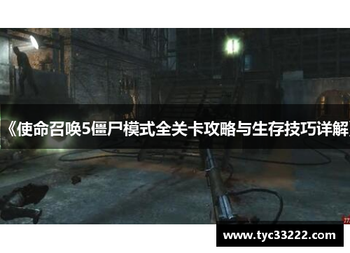 《使命召唤5僵尸模式全关卡攻略与生存技巧详解》